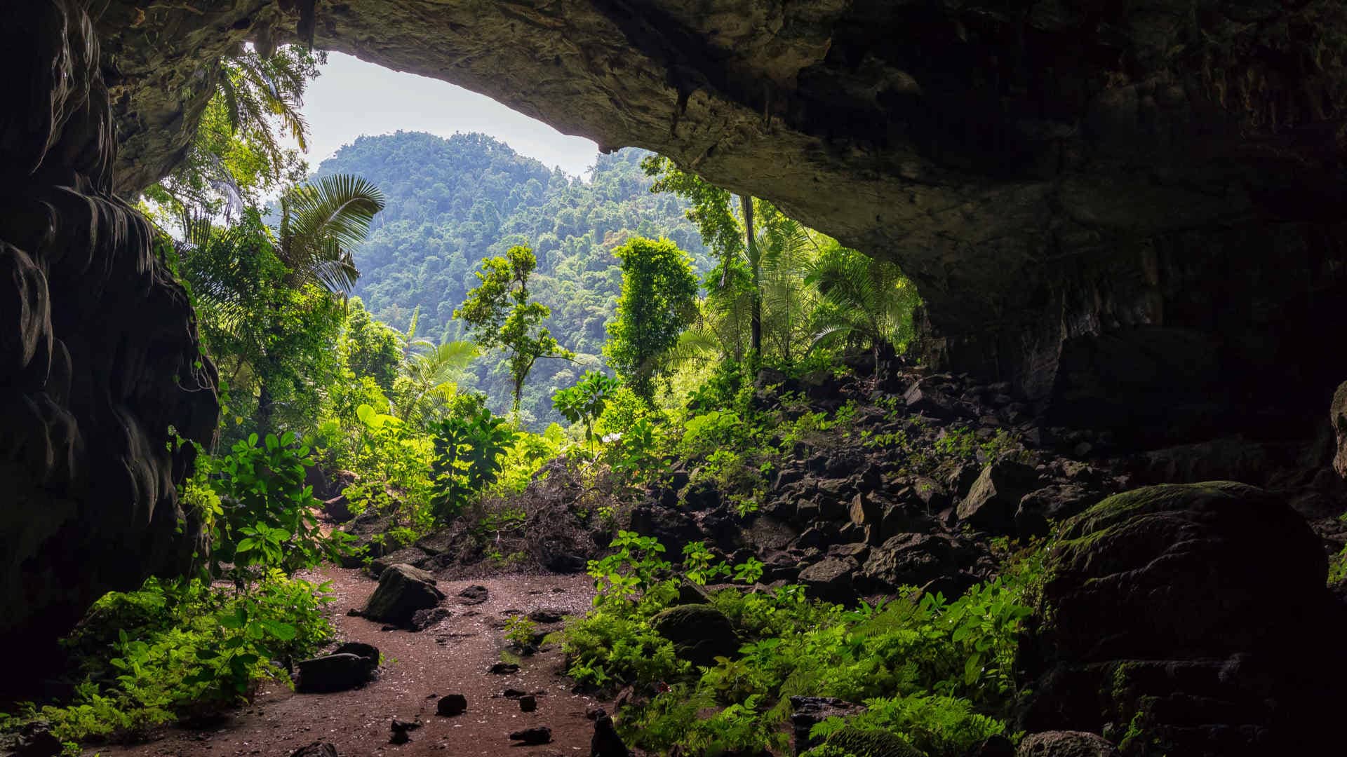 Tu Lan Höhle Phong Nha National Park