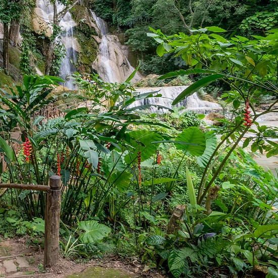 Kuang Si Waterfall mit Mönchen Laos