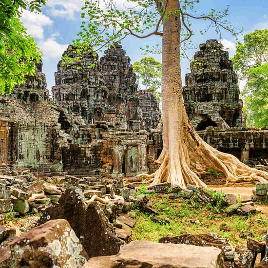 Ta Prohm Tempel Ankor Wat Kambodscha